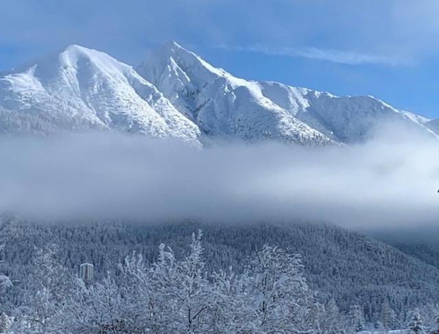 Haus Anna Leilighet Seefeld in Tirol Eksteriør bilde